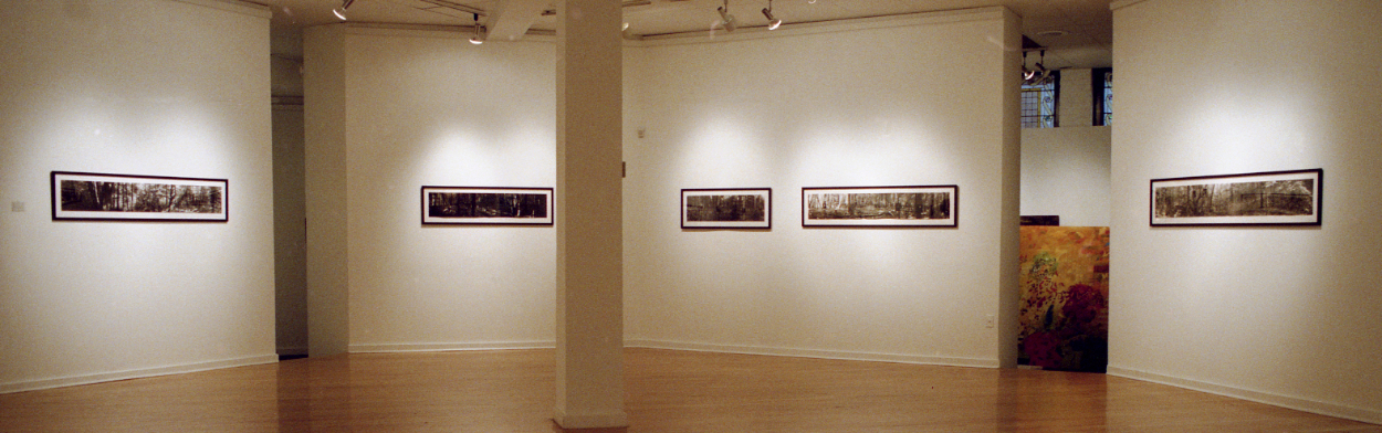 panoramic photo landscapes in a gallery